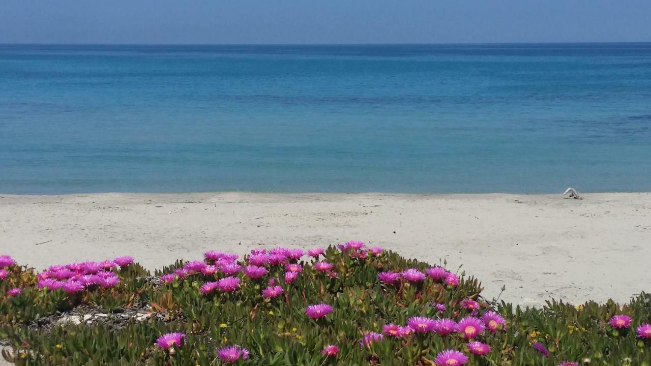 Appartamento casa azzurra San Foca Esterno foto