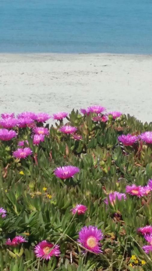 Appartamento casa azzurra San Foca Esterno foto